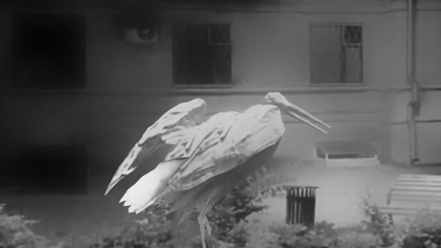 Тизер к спектаклю Халиф Аист Бинарный Биотеатр смотреть онлайн