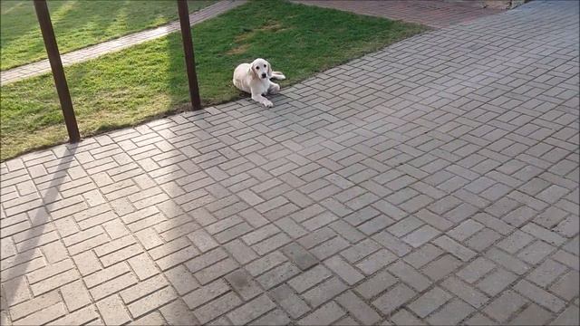 Не даёт работать!