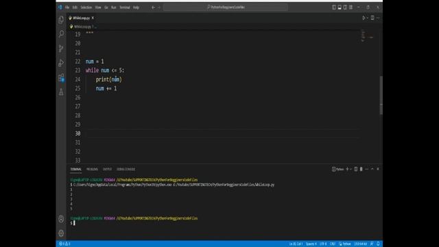 PYTHON - TYPES OF LOOP & WHILE LOOP (08) смотреть онлайн