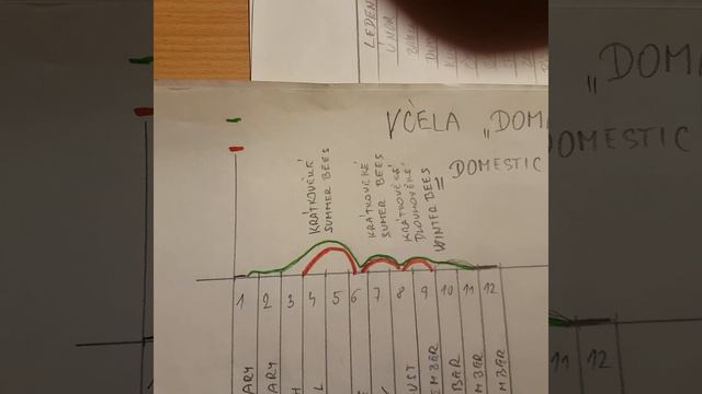 včelaření bez chemie - jak na to смотреть онлайн