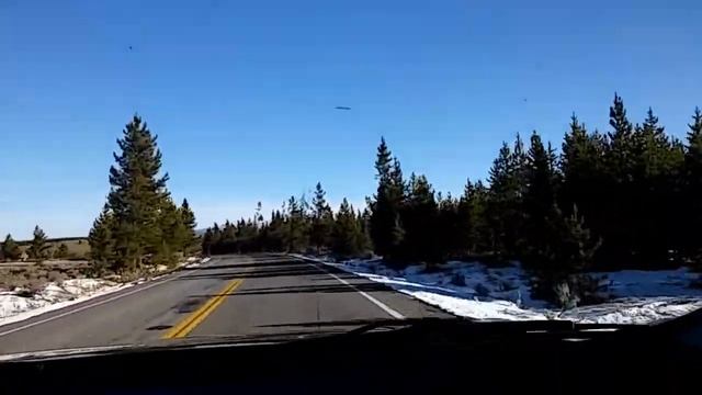 Заехали в заповедник Yellowstone. Это только начало