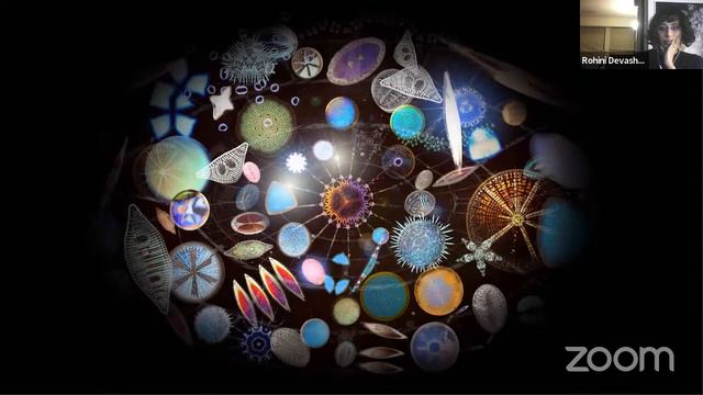 Future Perfect: Contemporary Art between Nature and Culture [Rohini Devasher] смотреть онлайн
