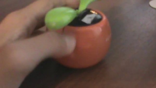 Как Работает flip flap