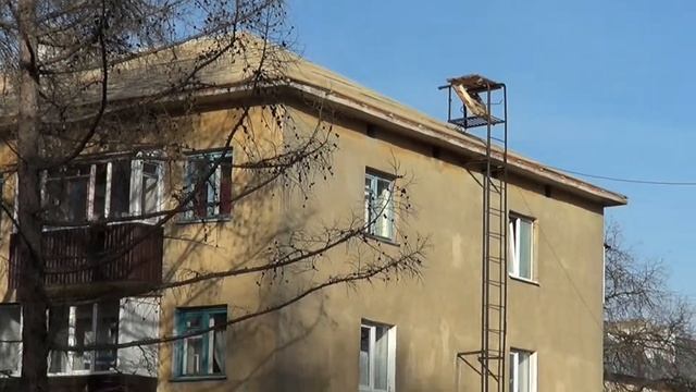 Ремонт домов в Бугульме смотреть онлайн