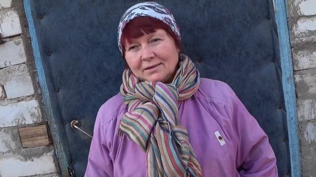 Как отучить курей клевать яйца, больной вопрос. Почему куры клюют яйца. Содержание и уход за курями смотреть онлайн