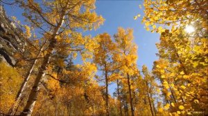 Галина Хомчик - "Осень"