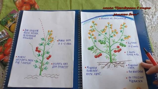 урок-4. Штамбовые томаты выручат всегда! смотреть онлайн