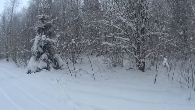 охота с русскими гончими на зайца .13. 12. 21 смотреть онлайн