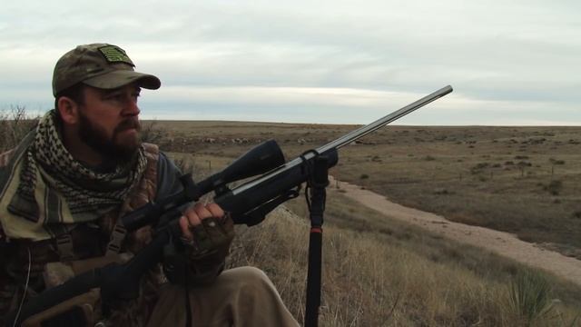 Speeding tickets and dead coyotes! Coyote hunting and predator calling at its best! смотреть онлайн
