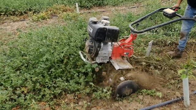 Funktionsvideo Schwere Motorhacke (12 PS) Diesse DS84 Mit Dieselmotor Lombardini/Kohler KD15-440E53