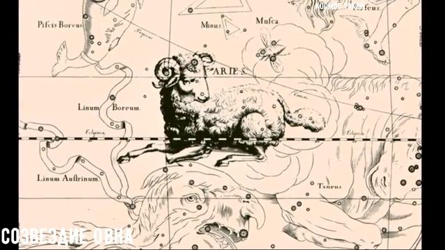 Овен(Aries) - Всё о созвездии смотреть онлайн