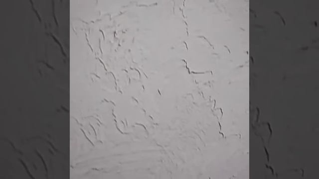 Ремонт квартир 2020 смотреть онлайн