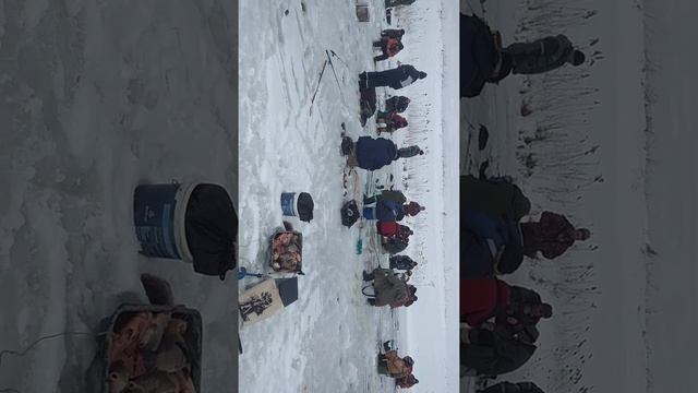 Бешеный клёв сазана зима 2018. смотреть онлайн