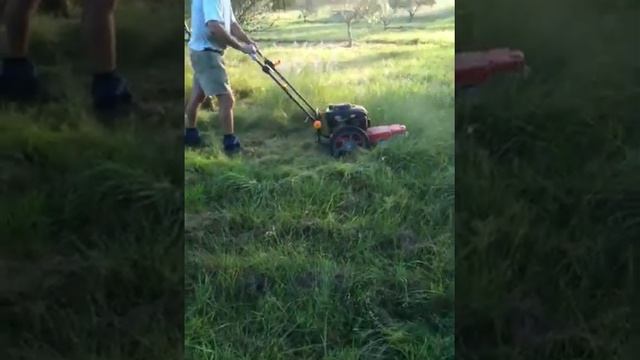 Whipper mower смотреть онлайн