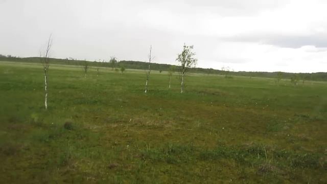 MVI_3550.MOV Вездеход на болоте.