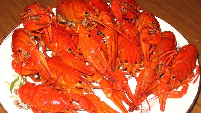 Мёртвая Кладка 3: Чето нас опять по-петушиному разделило