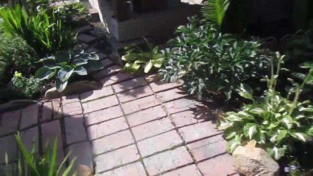 обзорчик Сада на 15 июля В ГОСТЯХ У ЕЛЕНЫ Советую посмотреть смотреть онлайн