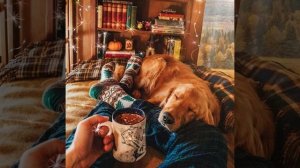 Лисиенкова С. А человеку нужен дом, особенно зимой... Стихи