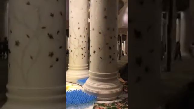 Its Sudia Arabia Moscow смотреть онлайн