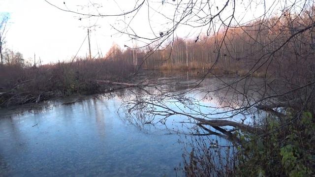 Охота .В поисках утки в ноябре смотреть онлайн