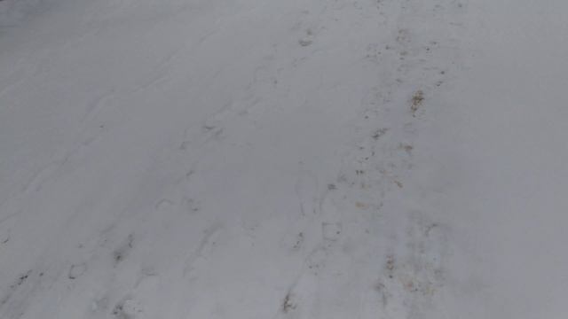 Территория санатория Касимовские зори. ЧАСТЬ2 смотреть онлайн