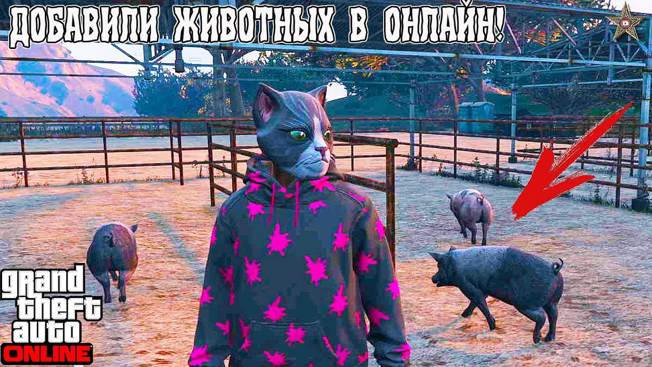 ИЩЕМ ЖИВОТНЫХ В GTA ONLINE НА NEXT GEN ОБНОВЛЕНИЕ АВТОРАЗБОРКА (DLC THE CHOP SHOP) смотреть онлайн