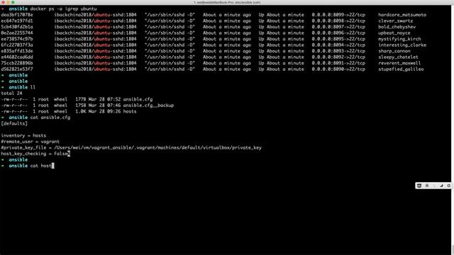 Ansible control docker container смотреть онлайн