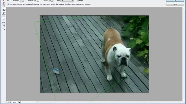 Adobe Photoshop CS6 Capture 7