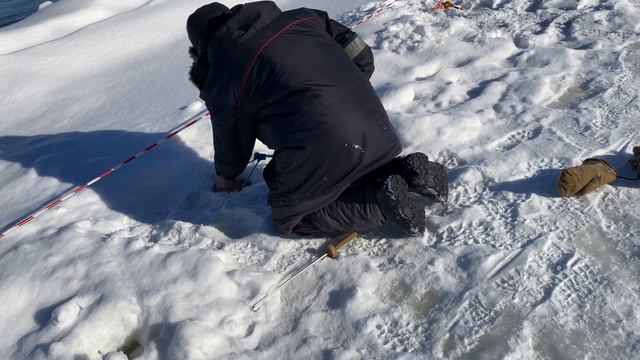 Снова поимка форели на пасту смотреть онлайн