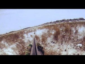 Охота на зайца. Тропление зайца. Первый новогодний заяц. Иж-43