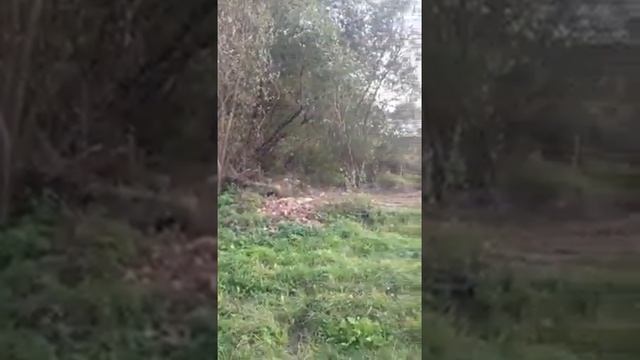 Казань ресторан смотреть онлайн