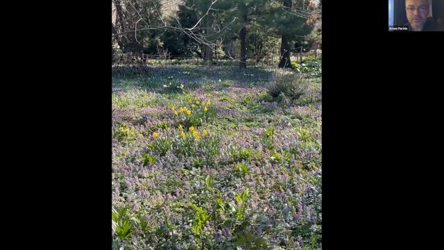 Проект «ReNature – Вернем природу в город» в Ботаническом саду МГУ «Аптекарский огород» смотреть онлайн