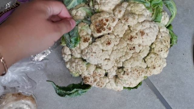 Как выростить алоэ? /Готовим капусту в кляре с шампиньонами смотреть онлайн