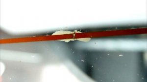 Как можно быстро и легко восстановить нить обогрева стекла