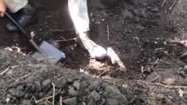 Солдаты оставленные в лесах. смотреть онлайн