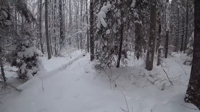 МЧИМ В ЛЕС НА КРАСНОЙ РАКЕТЕ! ЭЙ-ЭЙ!!! РЕЛЬСЫ БЕРЕГИТЕСЬ!!! КОП МЕТАЛЛА! смотреть онлайн