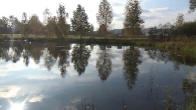 Тараканово