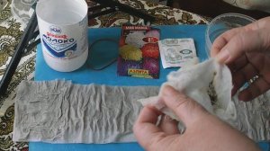 145. Посев астры  на рассаду в улитку.