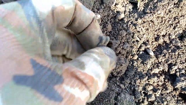 НАХОДКИ часть II. Смотрим до конца! смотреть онлайн