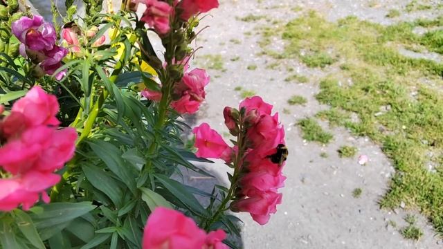 Снова в Школу/В Ожидании, Прошлась по Магазинам/Прокатилась на Мотоблоке/12.08.22 смотреть онлайн