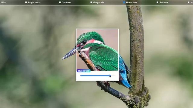 Backdrop Filters смотреть онлайн