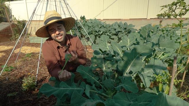 My December Garden Has Never Looked Better! смотреть онлайн