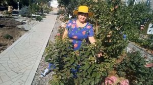 Всё о гортензиях в одном видео. Начинающим смотреть обязательно!