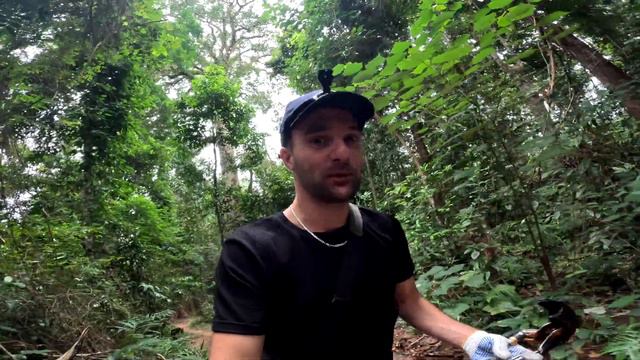 WIJ SLAPEN IN DE HOOGSTE BOOMHUT TER WERELD 🇱🇦 De Gibbon Experience 🇱🇦 LAOS смотреть онлайн