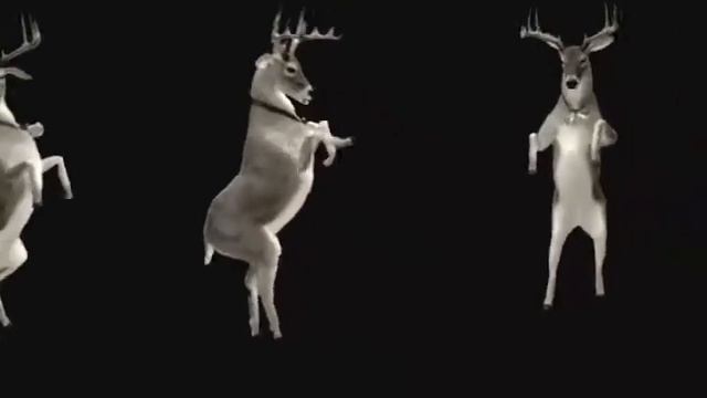 Dance reindeer dance смотреть онлайн
