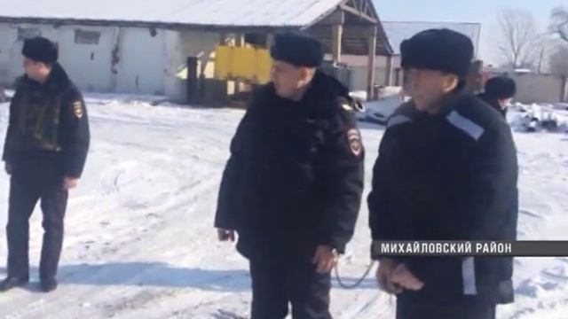Банда «черных лесорубов» предстанет перед судом смотреть онлайн