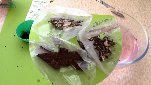 ⚜️ Как сохранить ЛУКОВИЦЫ ЛИЛИЙ до посадки - 7 дач смотреть онлайн