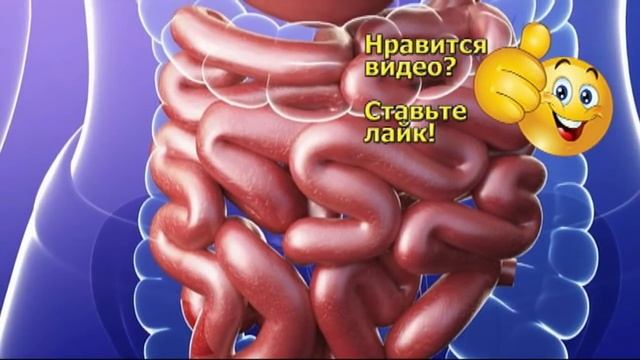 Салат из свеклы очищает организм смотреть онлайн