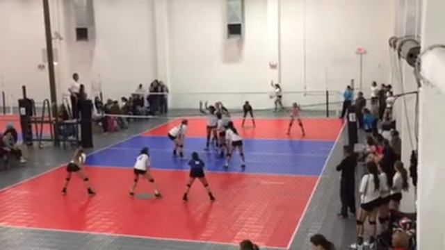 915 United 18's Volleyball Club Azalia Portillo смотреть онлайн