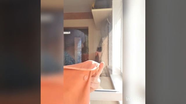 Как легко помыть окна с салфетками от Гринвей смотреть онлайн